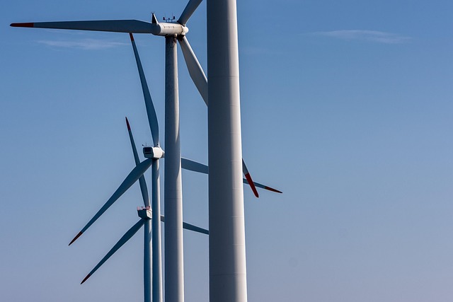 A Beginner’s Guide to Green Energy: What You Need to Know