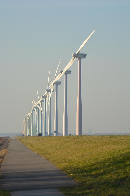 Community-Based Green Energy Projects: Power to the People